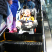 DSCF1745.JPG