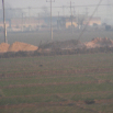 DSCF1886.JPG