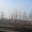 DSCF1889.JPG