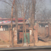 DSCF1895.JPG