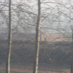 DSCF1900.JPG