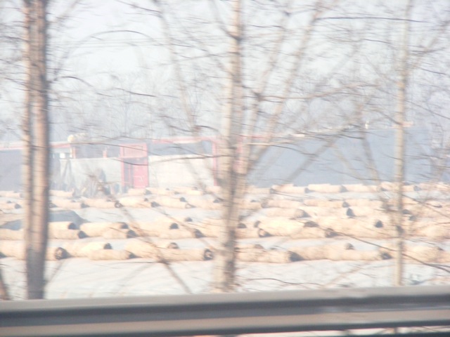 Loading Image