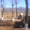 DSCF1986.JPG