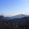 DSCF1995.JPG