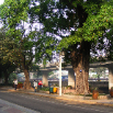 DSCF2212.JPG
