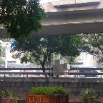 DSCF2214.JPG
