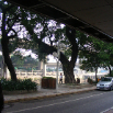 DSCF2215.JPG