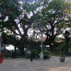 DSCF2231.JPG