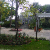 DSCF2233.JPG