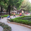 DSCF2236.JPG