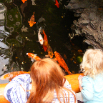 DSCF2286.JPG