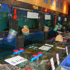 DSCF2290.JPG