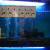 DSCF2292.JPG