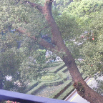 DSCF2329.JPG