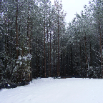 DSCF2428.JPG