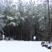DSCF2429.JPG