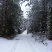 DSCF2434.JPG