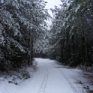 DSCF2435.JPG